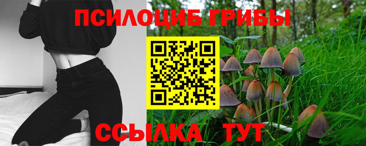 Карачаевск  Галлюциногенные грибы Psilocybine cubensis  Вход с VPN  Галлюциногенные грибы MAGIC MUSHROOMS 